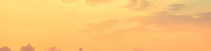 Viaje organizado a Myanmar - Rebajas