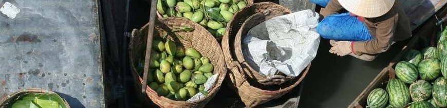 Vietnam con Crucero - Viaje en Privado