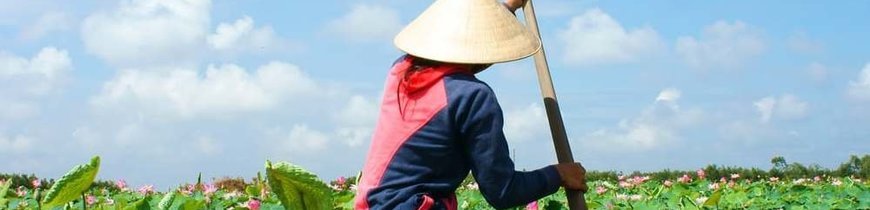 Vietnam al Completo con Crucero 