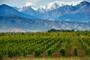 Mendoza