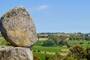 Tandil