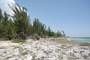 Freeport (Bahamas)