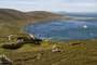 Falkland