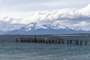 Puerto Natales