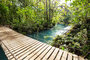 Tortuguero National Park