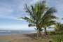 Tortuguero