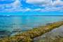 Bayahibe