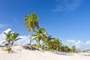 Bavaro