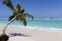 Bavaro