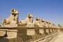 Luxor