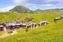 La Plagne-Tarentaise