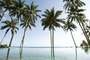 Bali Island (Indonesia)