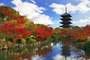 Japón