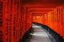 Kyoto Pref.
