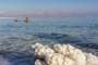 Dead Sea