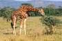 Parque Nacional Lago Nakuru