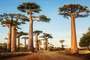 Parque Nacional de Zombitse-Vohibasia (Madagascar)