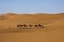 Erfoud (Marruecos)