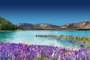 Lac Tekapo