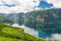 Aurland