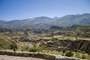 Colca