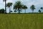 Ziguinchor