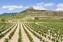 La Rioja