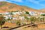 Pajara