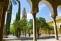 Cordoba