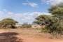 Lake Manyara National Park