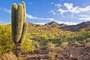 Scottsdale (Estados Unidos)