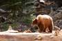 Yosemite National Park