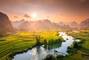 Phong Nha