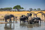Parc National Hwange