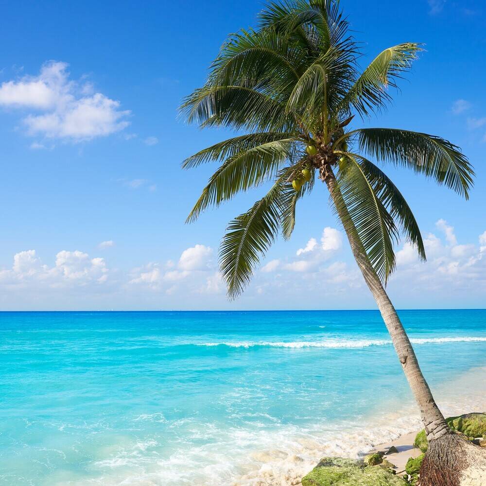 Playa del Carmen