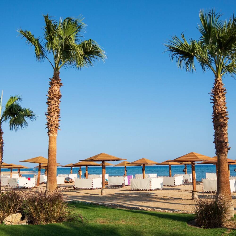 Soma Bay Holidays