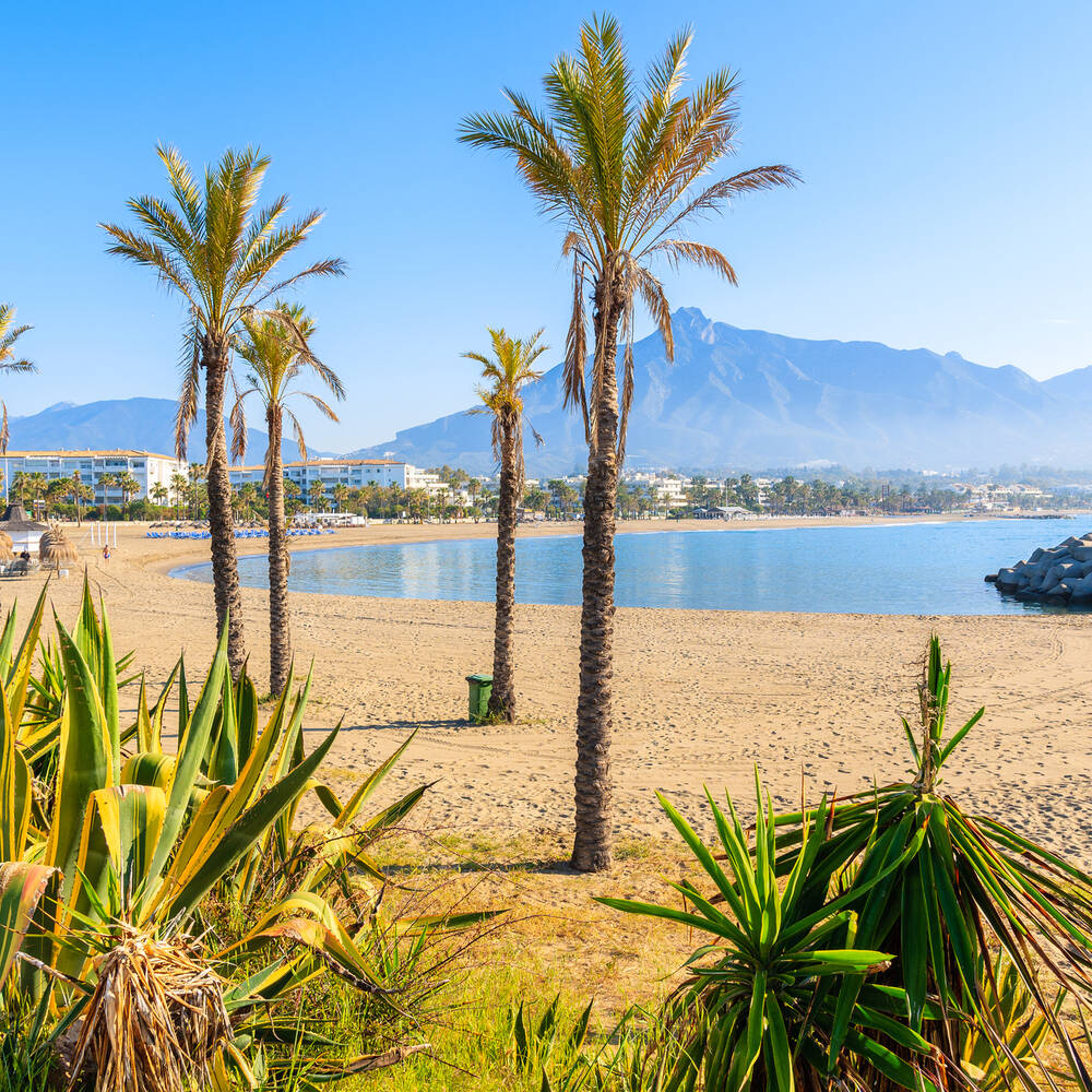 Hotels in Puerto Banus