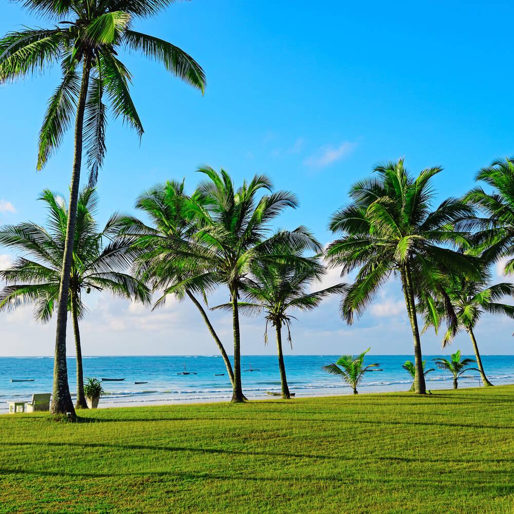 Hotels in Diani Beach