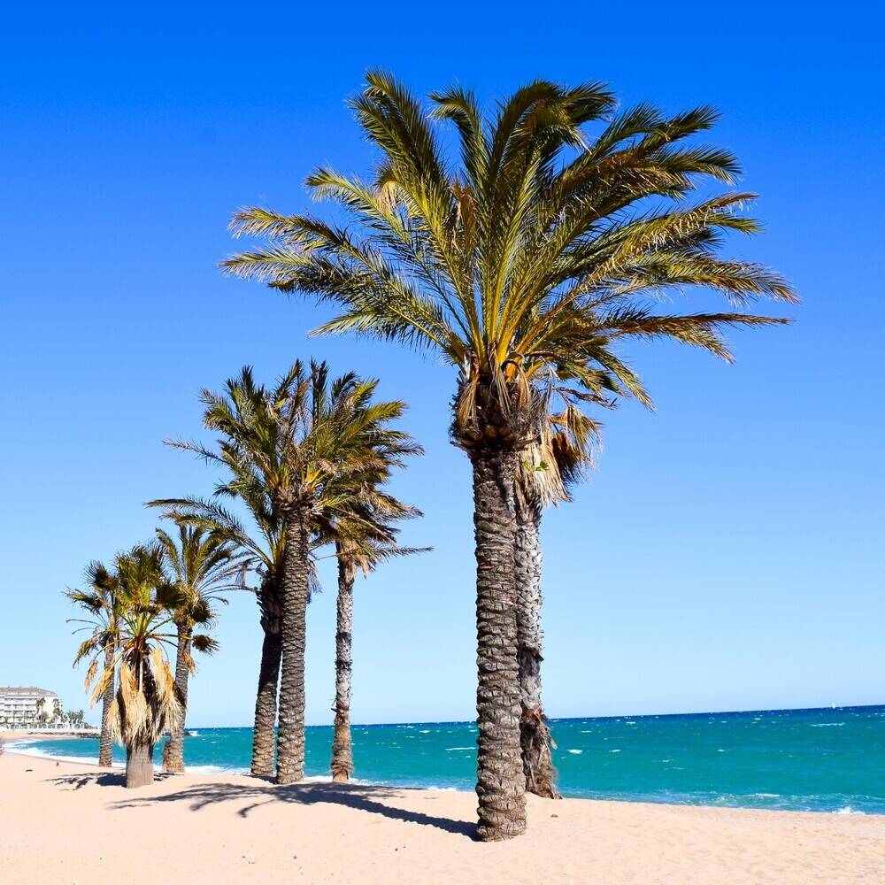 Hotels in Santa Susana