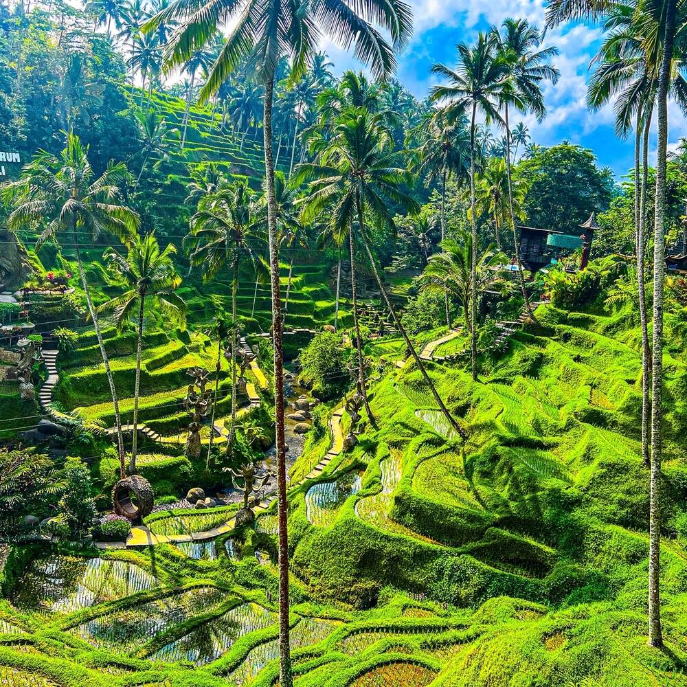 Ubud