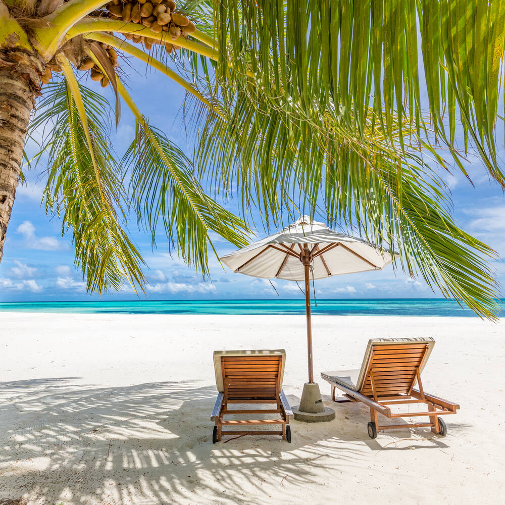 Black Friday Holiday Deals 2026