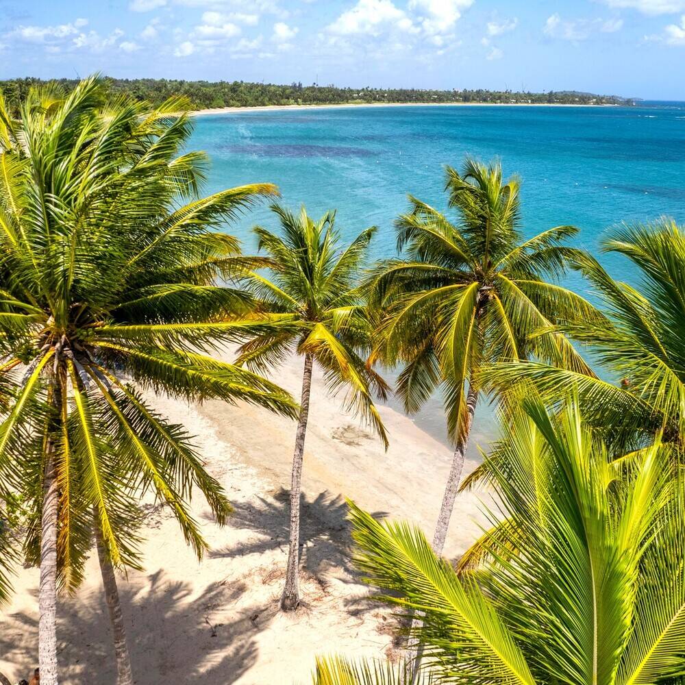 Hotels in Puerto Rico