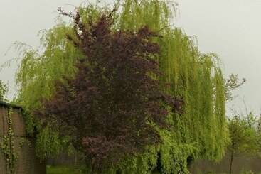 هتل La Casona De Luis