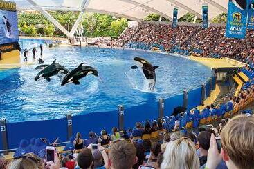 酒店 Adonis Pelinor