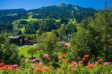هتل Carinthia