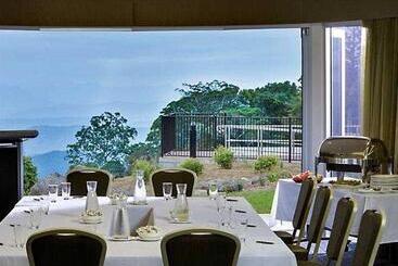 Отель Oreillys Rainforest Retreat