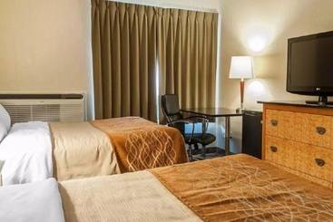 酒店 Comfort Inn