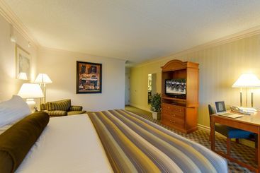 هتل Black Knight Inn