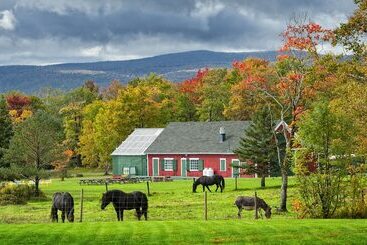 فندق The Normaway Inn