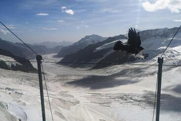 Swiss Lodge Hotel Bernerhof Wengen